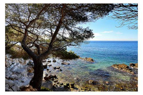 Appartement Suquet26